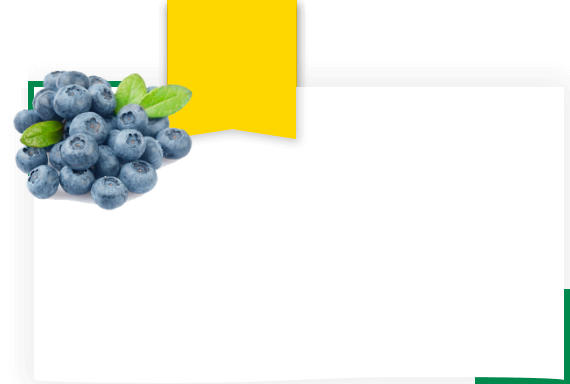 Рентабельность голубики 0.18 руб. за каждый килограмм прибавки