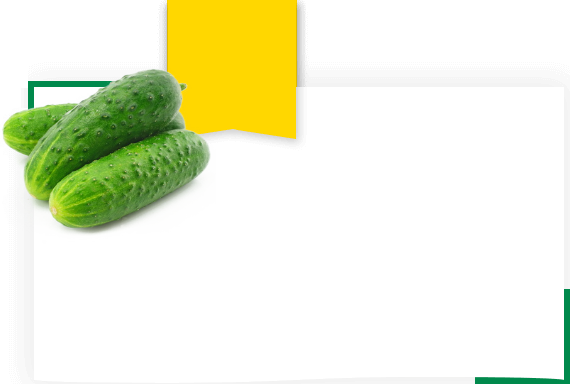 Рентабельность огурца 0.11 руб за каждый килограмм прибавки