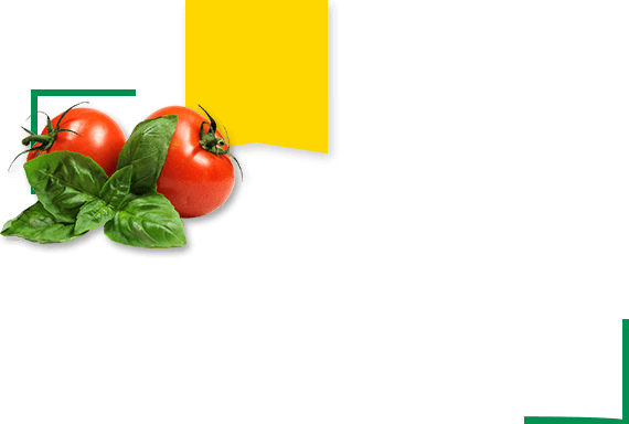 Рентабельность выращивания томатов 0.125 руб за каждый килограмм прибавки